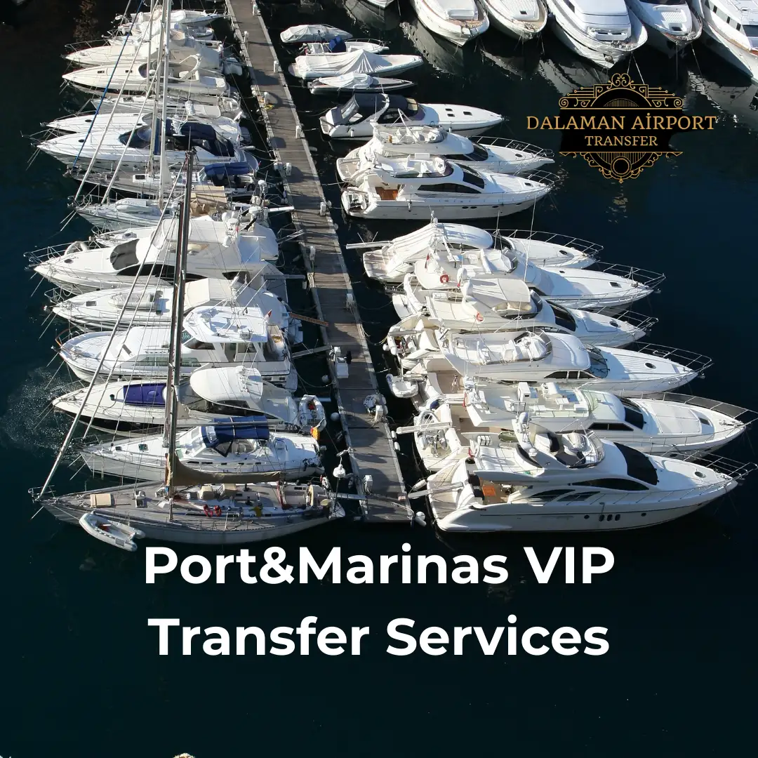Port Transfer